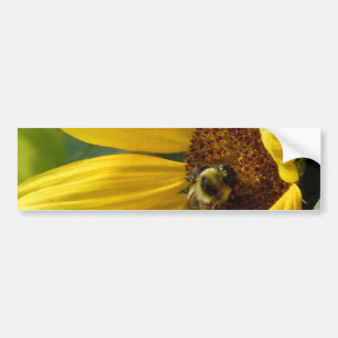 Bee on Sunflower Bumper Sticker
