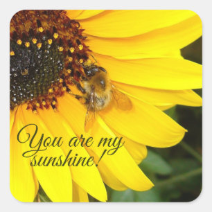 Bee on Sunflower You are my Sunshine Square Sticker
