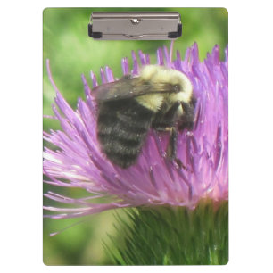Bee On Thistle Clipboard