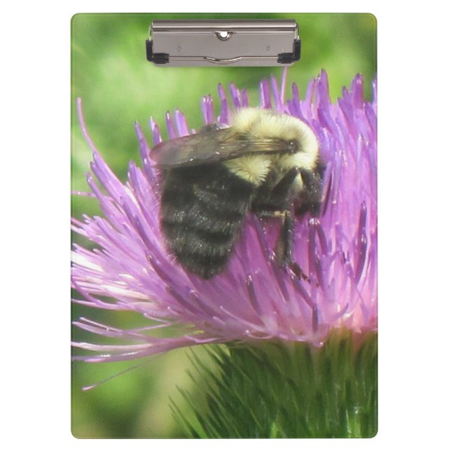 Bee On Thistle Clipboard (Front)
