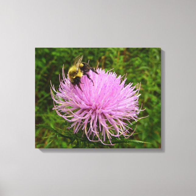 Bee on Thistle Flower Nature Canvas Print (Front)