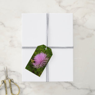 Bee on Thistle Flower Nature Gift Tags