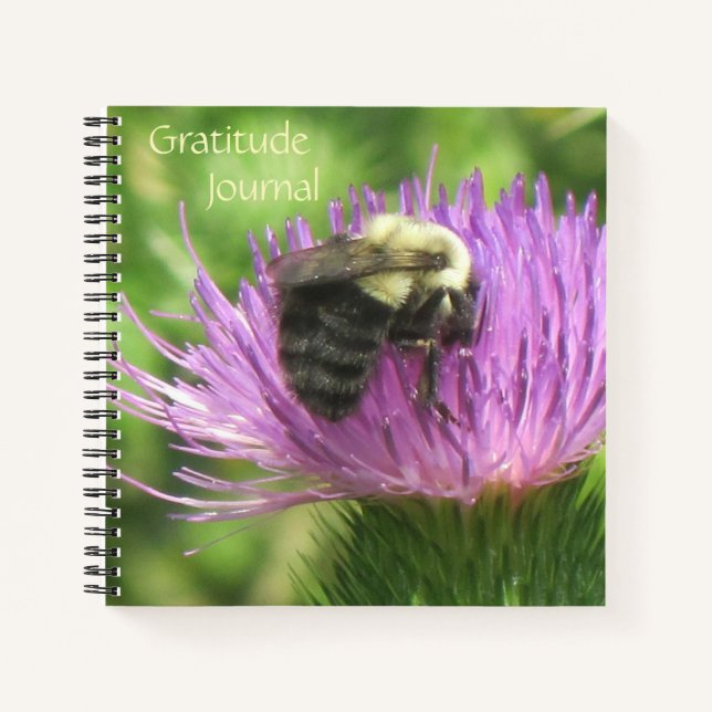 Bee On Thistle Gratitude Journal (Front)