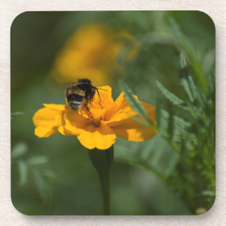 BEE ON TOP COASTER