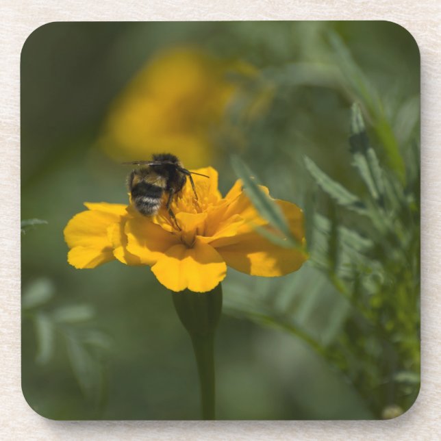 BEE ON TOP COASTER (Front)