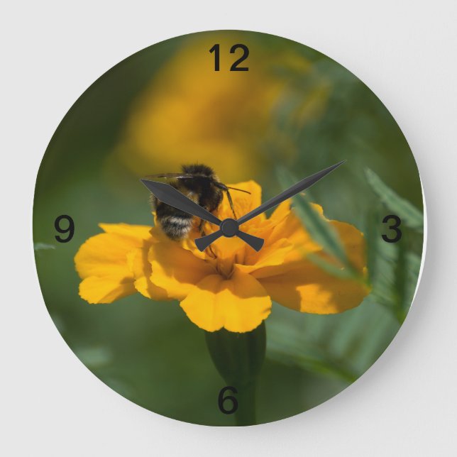Bee on Top Large Clock (Front)