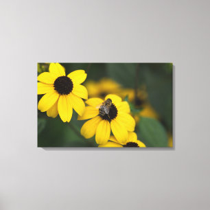 bee on top of the yellow flower canvas print