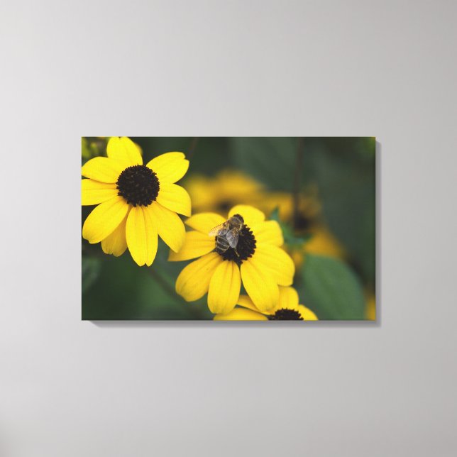bee on top of the yellow flower canvas print (Front)