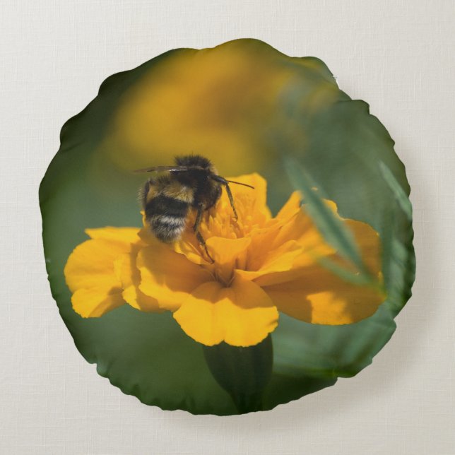 bee on top round cushion (Back)