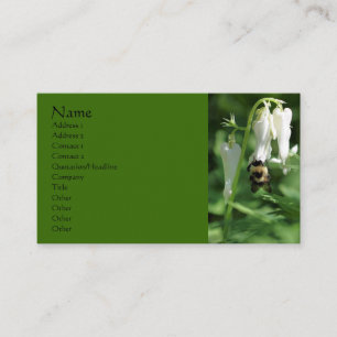 Bee On White Columbine Flower Business Card