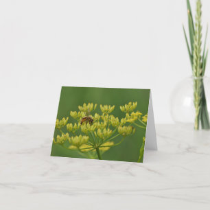 Bee on wild parsnip blank inside notecard.  thank you card