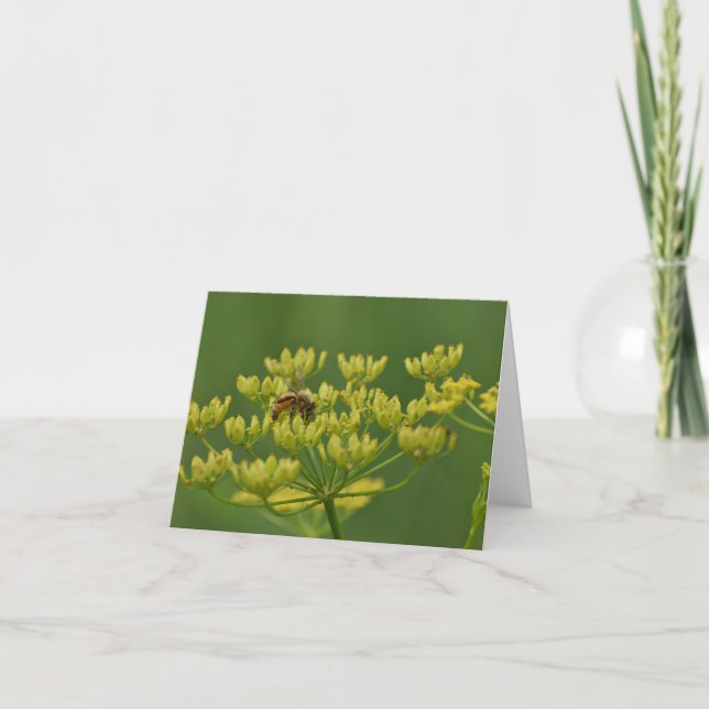 Bee on wild parsnip blank inside notecard.  thank you card (Front)