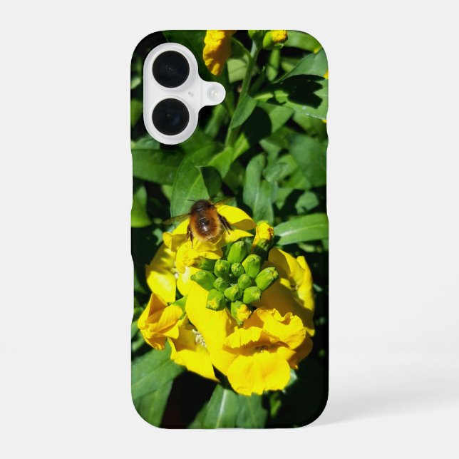 Bee on Yellow Flowers iPhone 16 Case (Back)