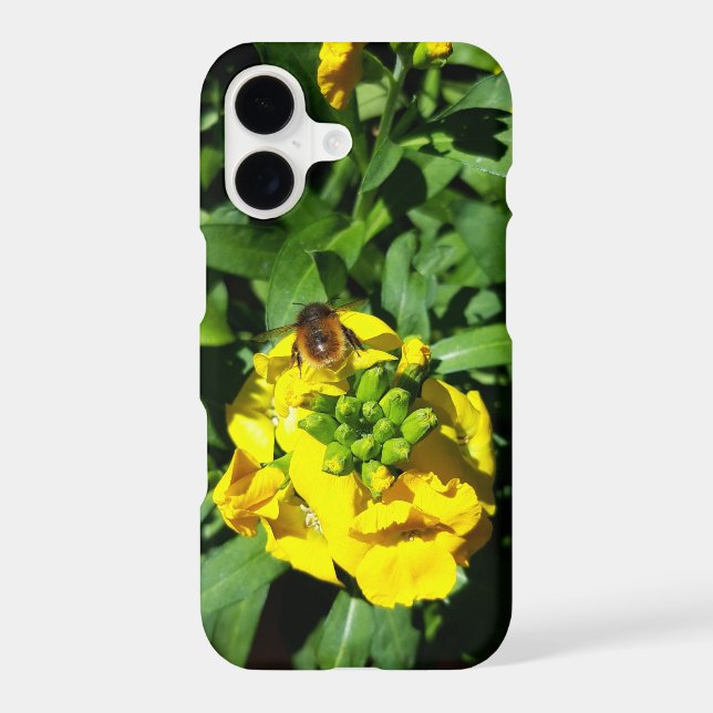 Bee on Yellow Flowers iPhone Case (Back)