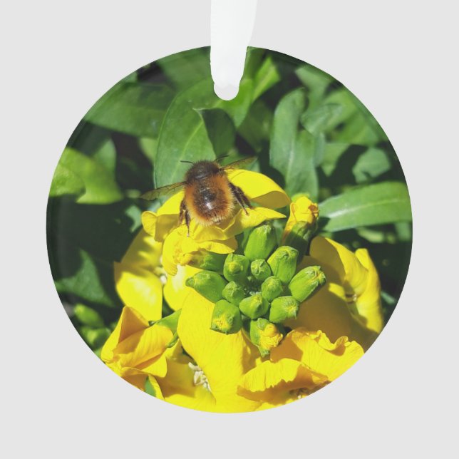 Bee on Yellow Flowers Ornament (Front)