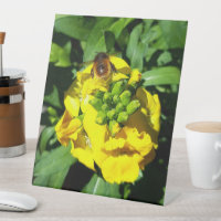Bee on Yellow Flowers