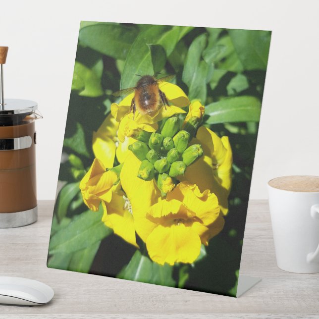 Bee on Yellow Flowers Pedestal Sign (In SItu)