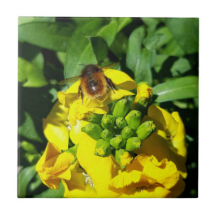 Bee on Yellow Flowers Tile