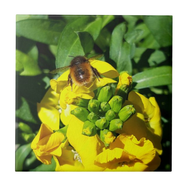 Bee on Yellow Flowers Tile (Front)