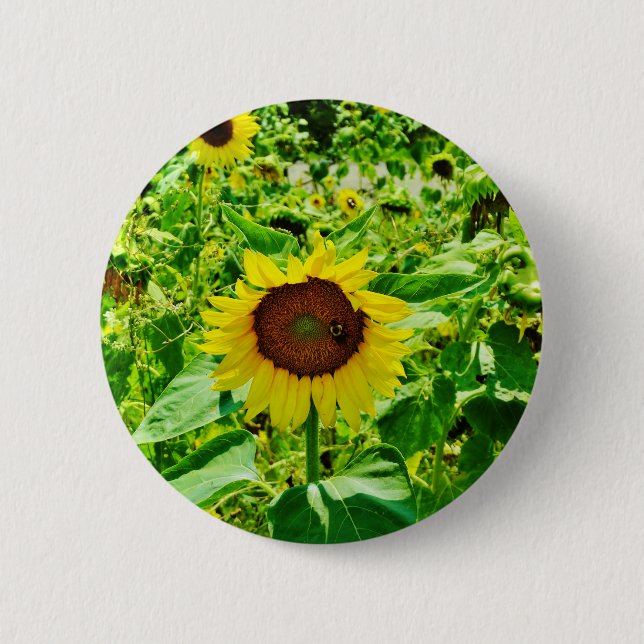 Bee on yellow Sunflower 6 Cm Round Badge (Front)