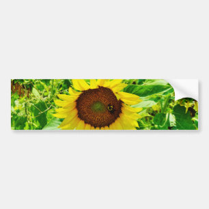 Bee on yellow Sunflower Bumper Sticker