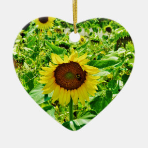 Bee on yellow Sunflower Ceramic Tree Decoration