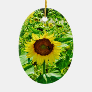 Bee on yellow Sunflower Ceramic Tree Decoration