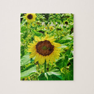 Bee on yellow Sunflower Jigsaw Puzzle