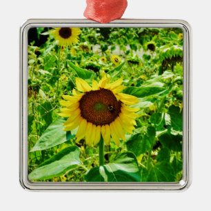 Bee on yellow Sunflower Metal Tree Decoration