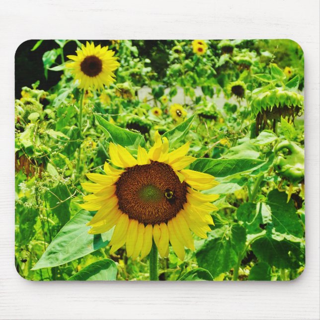 Bee on yellow Sunflower Mouse Mat (Front)