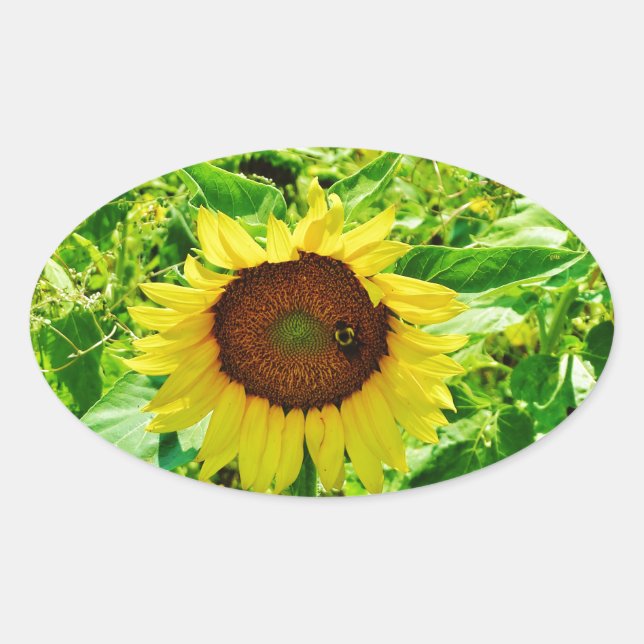 Bee on yellow Sunflower Oval Sticker (Front)