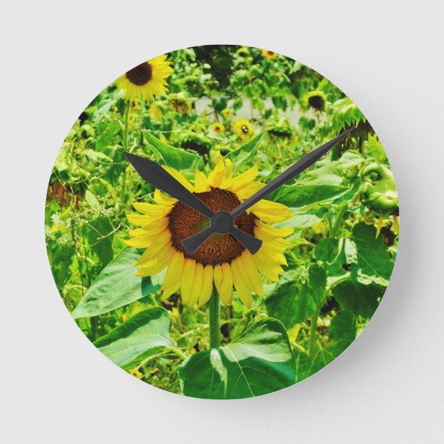 Bee on yellow Sunflower Round Clock (Front)
