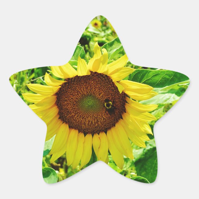 Bee on yellow Sunflower Star Sticker (Front)