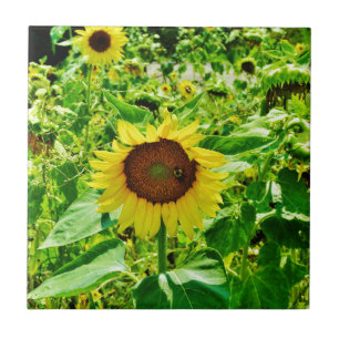 Bee on yellow Sunflower Tile