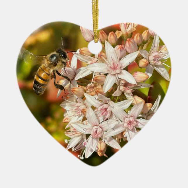 Bee, Ornament (Front)