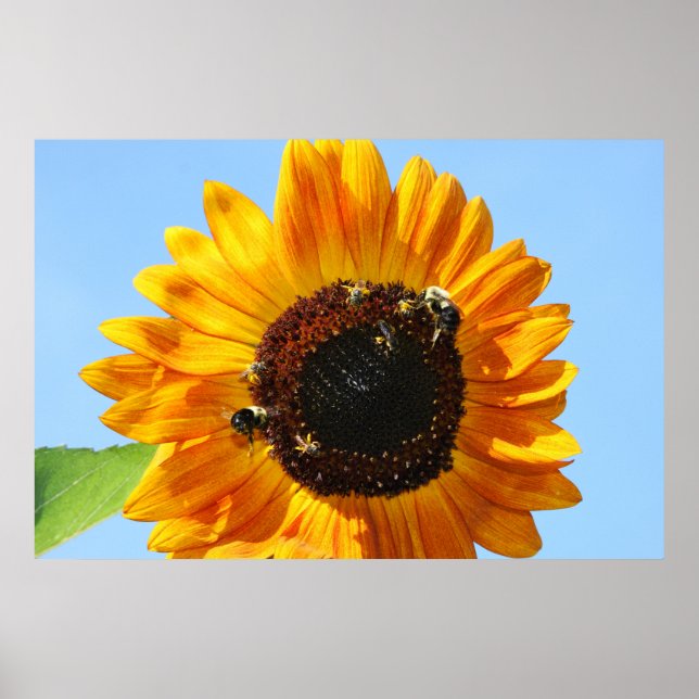 Bee Party 2 Poster (Front)