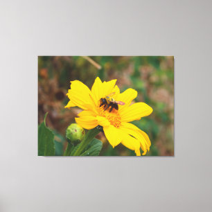 Bee Pollinating Bright Yellow Flower Photography Canvas Print