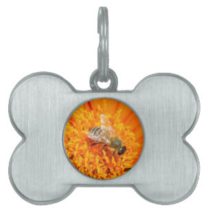 bee pollinating flower tag