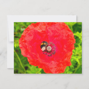 Bee postcard