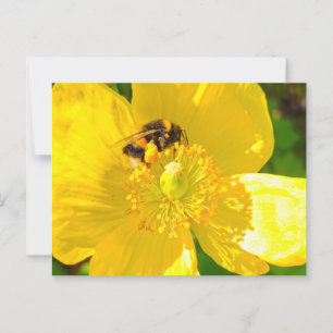 Bee postcard