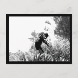 Bee Postcard