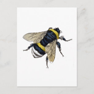 Bee Postcard