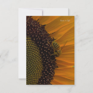 Bee & Sunflower Up-close Card