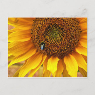 Bee Sunny Postcard
