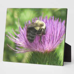 Bee & Thistle Plaque