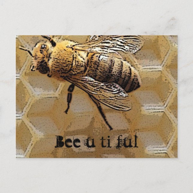 Bee u ti ful postcard (Front)