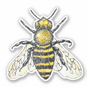 Bee Watercolor Sticker