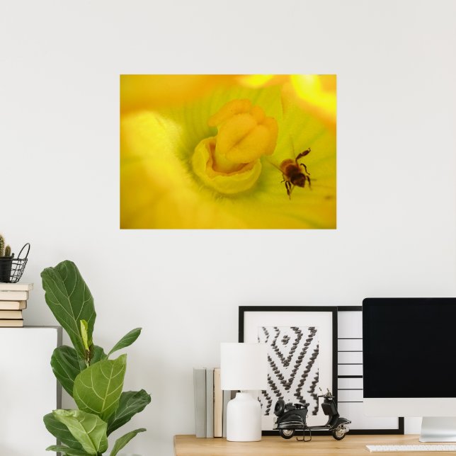 Bee Within Zucchini Flower Print (Home Office)