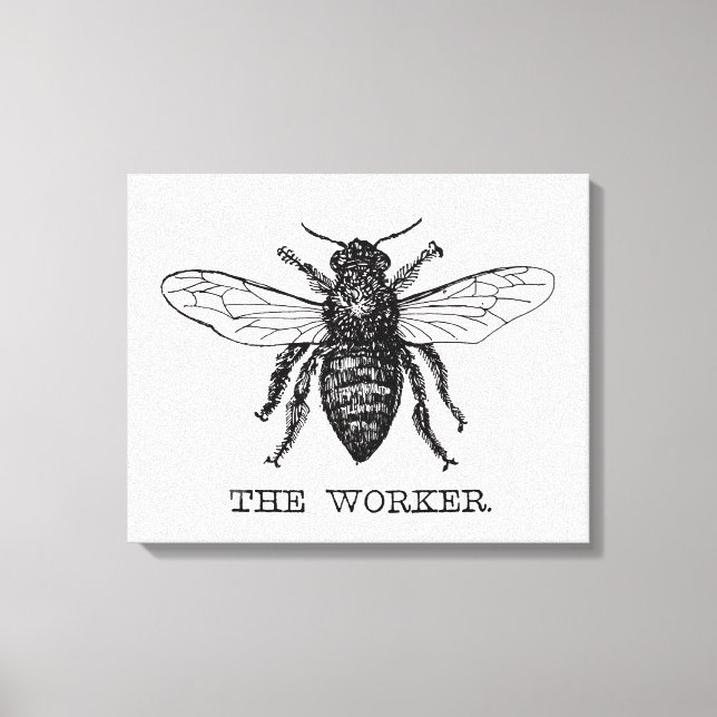 Bee Worker Honey Black Bumblebee Canvas Print (Front)