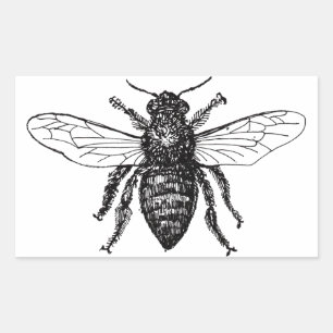 Bee Worker Honey Black Bumblebee Rectangular Sticker